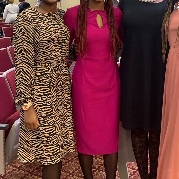 Banana Republic Zebra Print Dress - Picture 4 of 9